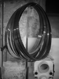 _GFX3561.jpg _GFX3561.jpg