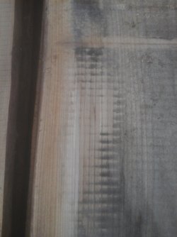 Rüster gehobelt.jpg