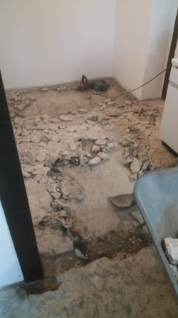 20220225_125510.jpg 20220225_125510.jpg