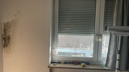 Außenwand Kinderzimmer.jpeg