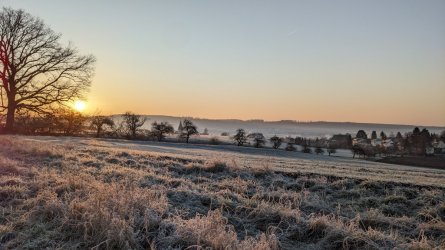 PXL_20260119_074128204.jpg PXL_20260119_074128204.jpg