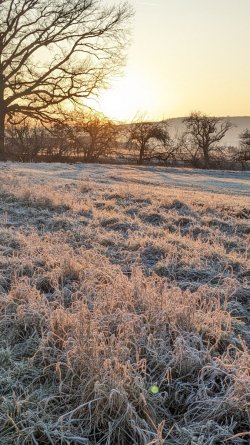 PXL_20260119_074244178.jpg PXL_20260119_074244178.jpg