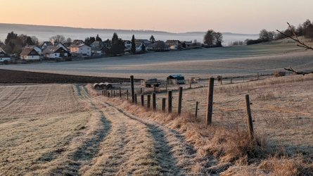 PXL_20260119_074401154.jpg PXL_20260119_074401154.jpg