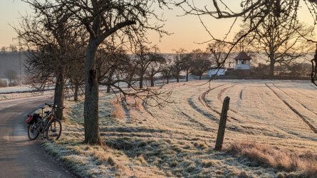 PXL_20260119_074556551.jpg PXL_20260119_074556551.jpg