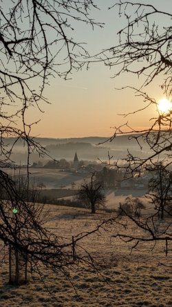 PXL_20260119_075125666.jpg PXL_20260119_075125666.jpg