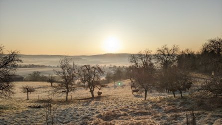 PXL_20260119_075352001.jpg PXL_20260119_075352001.jpg