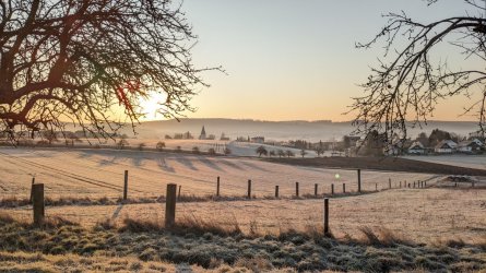 PXL_20260119_074535043.jpg PXL_20260119_074535043.jpg