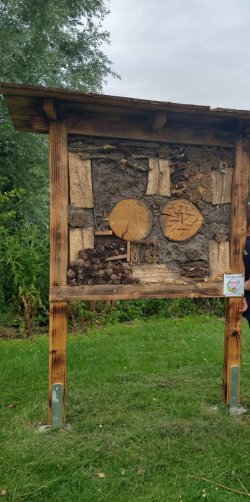 IMG-20250703-WA0010 (4).jpg