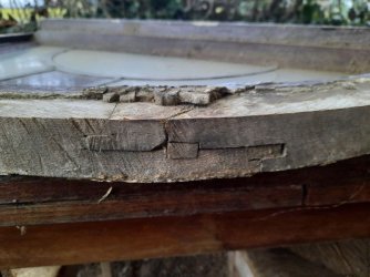 photo_2026-01-27_20-08-51 (3).jpg