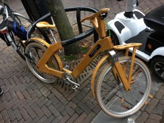 WhatsApp Image 2026-03-01 at 09.33.13.jpeg