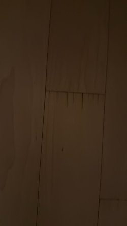 WhatsApp Image 2026-03-02 at 08.23.08 (1).jpeg