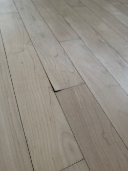 WhatsApp Image 2026-03-02 at 08.23.08 (4).jpeg