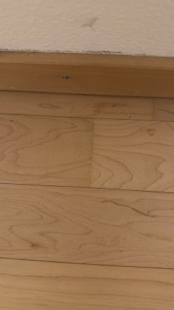 WhatsApp Image 2026-03-02 at 08.23.08 (5).jpeg