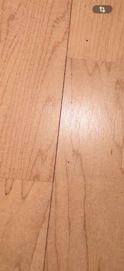 WhatsApp Image 2026-03-02 at 08.23.09 (1).jpeg