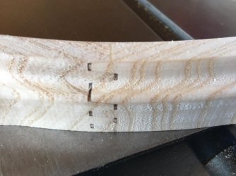 WhatsApp Image 2026-03-20 at 17.17.29.jpeg