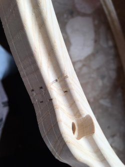 WhatsApp Image 2026-03-20 at 17.21.07.jpeg