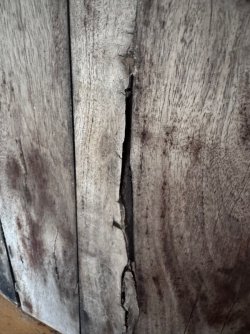 WhatsApp Image 2026-03-21 at 13.21.20 (5).jpeg