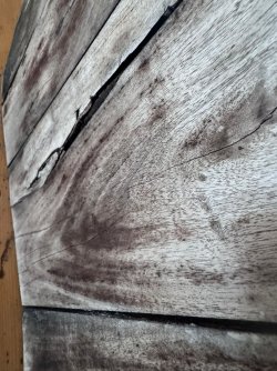 WhatsApp Image 2026-03-21 at 13.21.20.jpeg