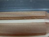 P1050862 50%.jpg