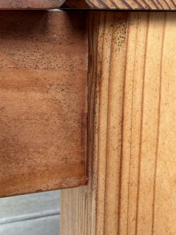 IMG_1603.JPG