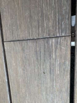 Mittel (IMG_0896).jpeg
