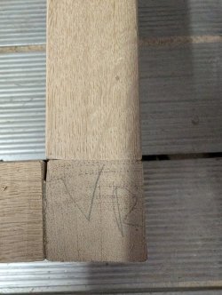 PXL_20250820_174657715.MP.jpg