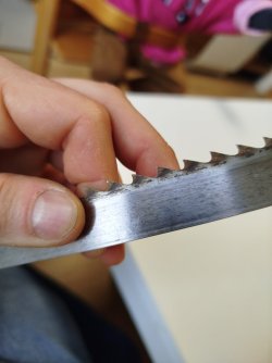 IMG_20260512_114314.jpg