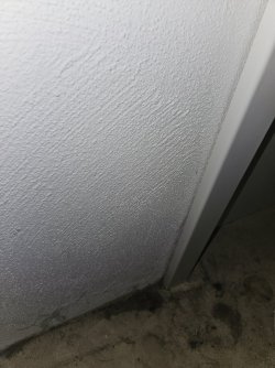 1000051452.jpg