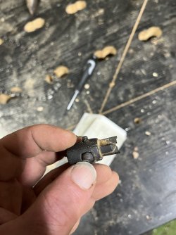 IMG_2253.jpeg