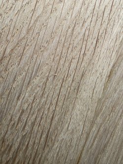 20260510_091318.jpg
