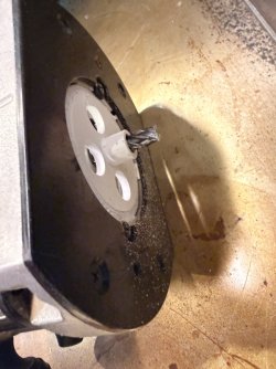 IMG_0331.jpeg