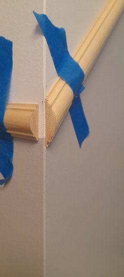 20260613_131649.jpg