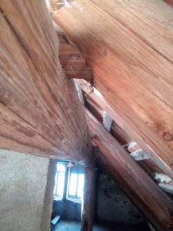 IMG_20260609_171352_4.jpg