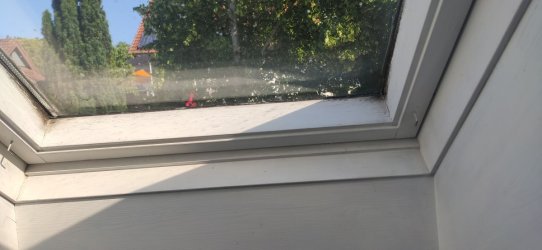 IMG_20260619_091822.jpg