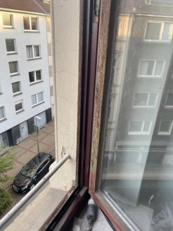 Foto 3.jpeg
