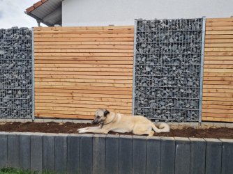 Bild (8).jpg Bild (8).jpg