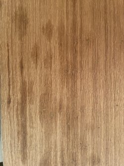 IMG_7850.jpeg