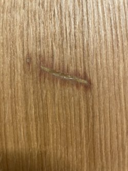 IMG_7858.jpeg