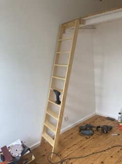 IMG_0731.jpeg