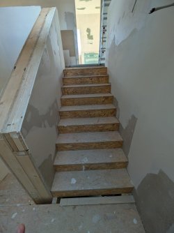 PXL_20260715_094515413.JPG