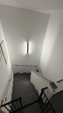 IMG_0953.jpeg
