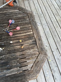 IMG_2669.jpeg
