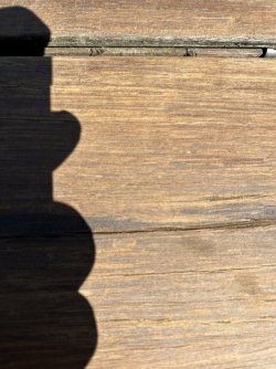 IMG_0168.jpg IMG_0168.jpg