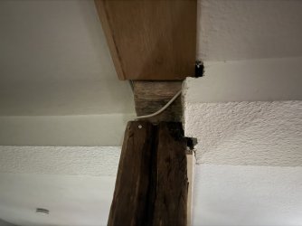 IMG_4556.jpeg