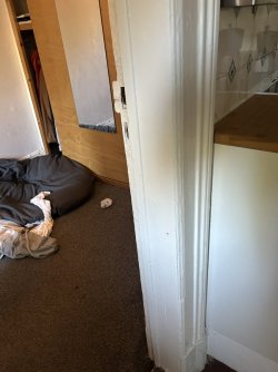 IMG_0556.jpeg