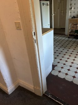 IMG_0554.jpeg
