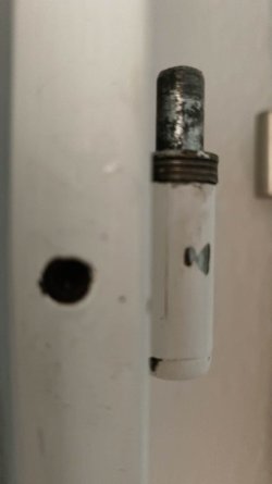 9465.jpg