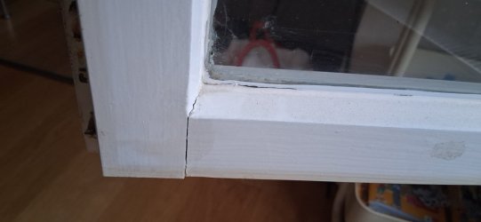 20260829_100949.jpg