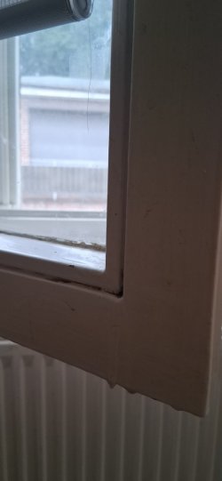 20260829_101016.jpg