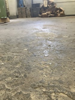 IMG_1398.jpeg